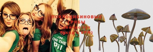 трава Арсеньев