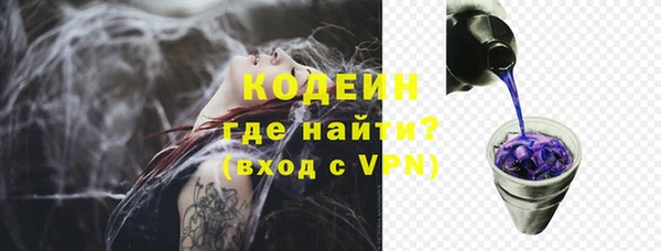 трава Арсеньев