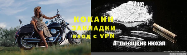ГАЛЛЮЦИНОГЕННЫЕ ГРИБЫ Балабаново