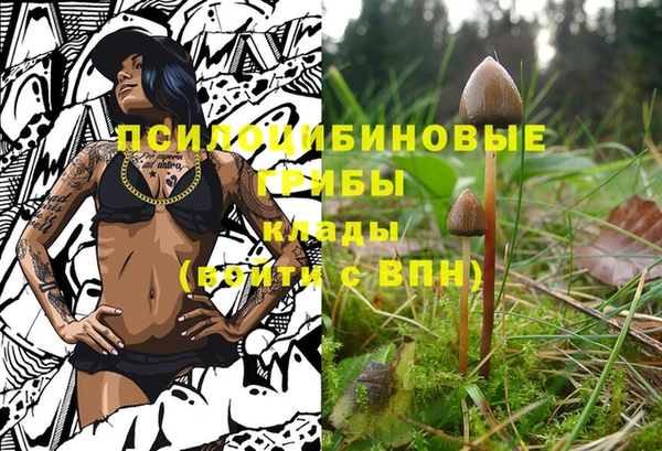 кокс Армянск