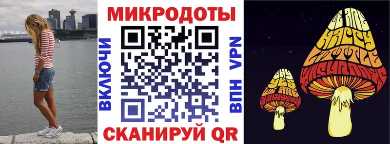 Галлюциногенные грибы Cubensis  где продают   Бодайбо 