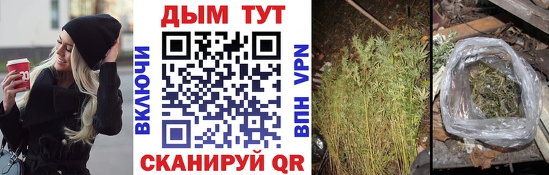 Шишки марихуана THC 21%  кракен зеркало  Бодайбо  как найти закладки 